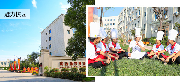 �����¶���У԰����