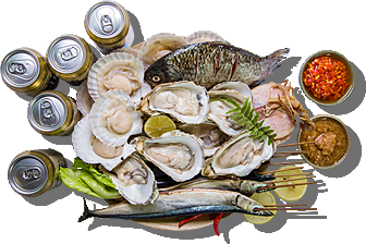 �¶����տ���ѵ