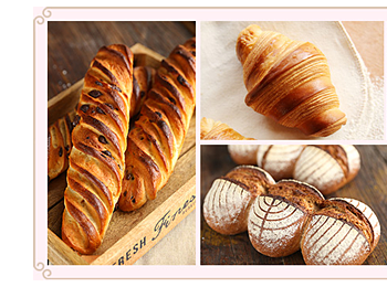 �ѻ�����